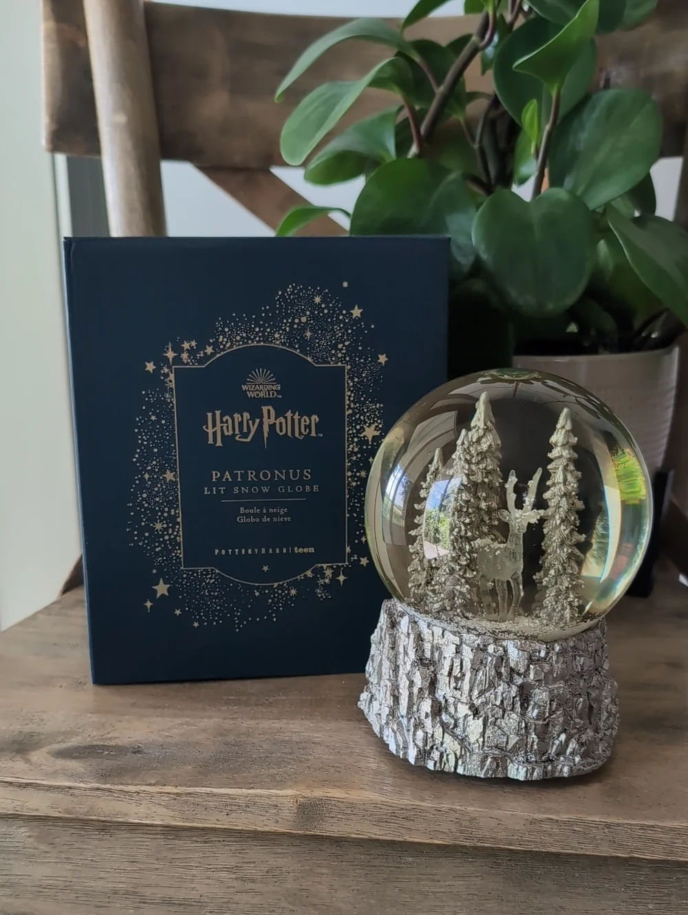 Pottery Barn new box